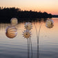 Garten Lampion Barlooon in weiß Ø 30 cm oder größer