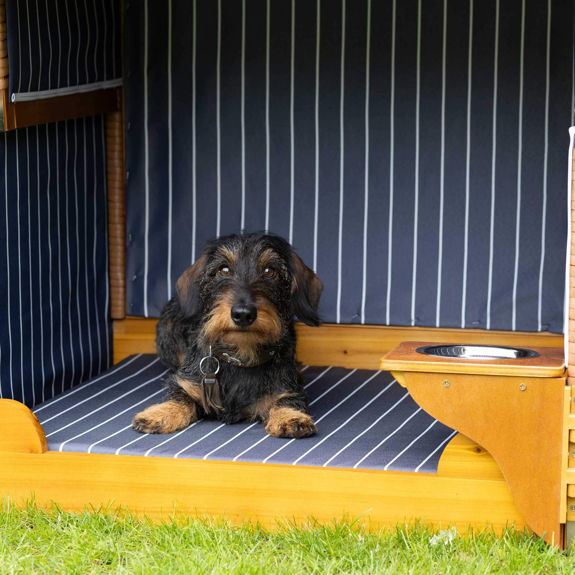 Hundestrandkorb mit Hund, PE natur gestreift rot, bequem für entspannte Stunden am Strand