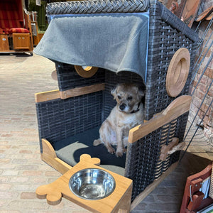 deVries Hundestrandkorb Knochenfinder in Stein Grau mit Hund, bequem und stilvoll. Ideal für Hunde am Strand.