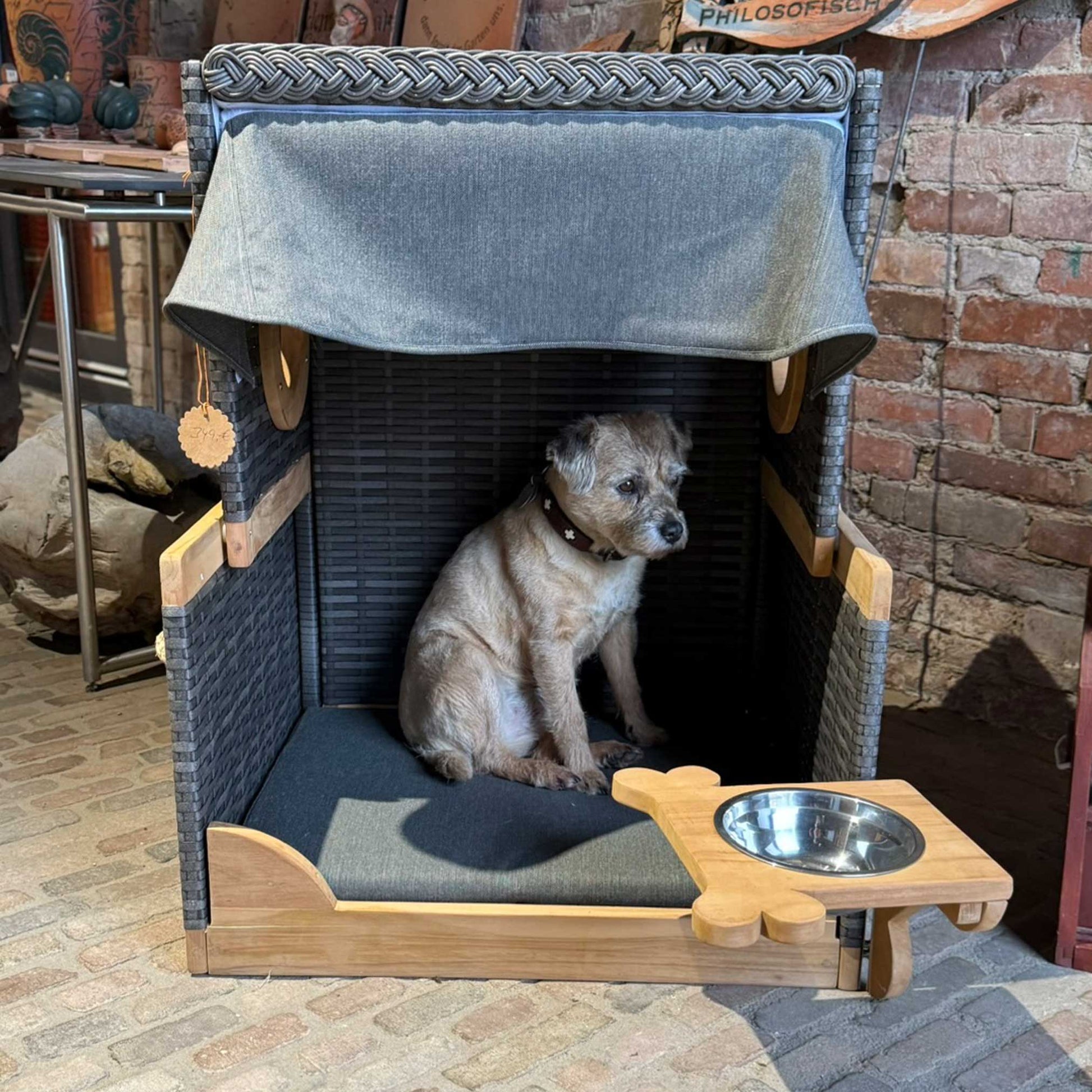 deVries Hundestrandkorb Knochenfinder in grau mit Hund im Inneren, stilvoller und bequemer Rückzugsort.